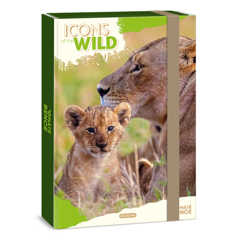 Školský box A4 Lions ARS UNA