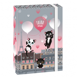 Box na zoity A4 Think Pink ARS UNA