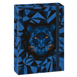 Box na zošity A4 Black Panther  ARS UNA