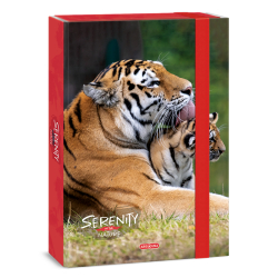 Školský box A4 Serenity TIGER ARS UNA