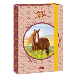 Školský box A4 My Sweet Horse ARS UNA