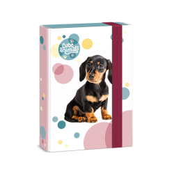 kolsk box A5 Cute DOG ARS UNA