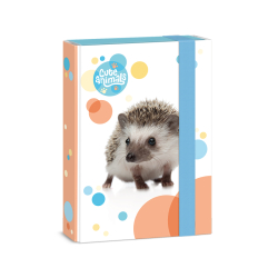 kolsk box A5 Cute HEDGEHOG ARS UNA