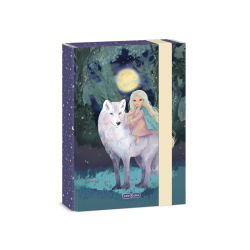 �kolsk� box A5 Northern Lights ARS UNA