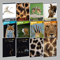 Zoit A4 40list Wild Life Moments ARS UNA