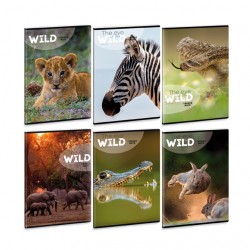 Zoit A4 40 listov THE EYES OF THE WILD